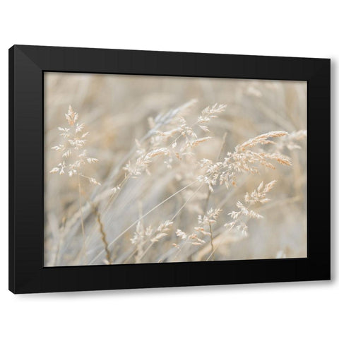Grass Meadow Black Modern Wood Framed Art Print by Frank, Assaf
