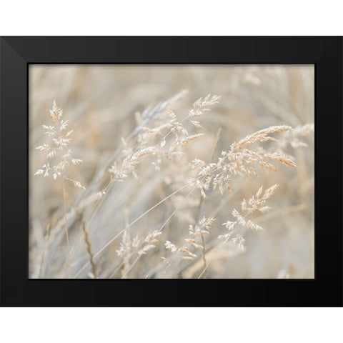 Grass Meadow Black Modern Wood Framed Art Print by Frank, Assaf