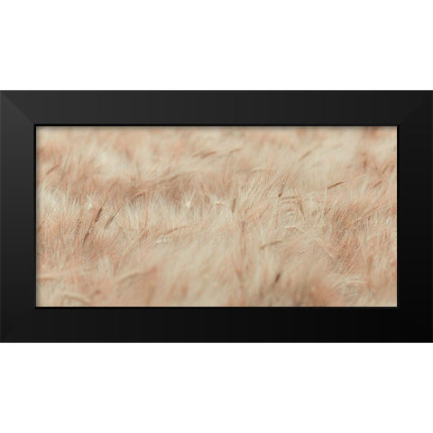 Wheat field Black Modern Wood Framed Art Print by Frank, Assaf