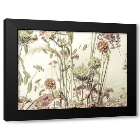 Meadow Flowers Black Modern Wood Framed Art Print by Frank, Assaf