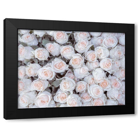 Full frame of Roses Black Modern Wood Framed Art Print with Double Matting by Frank, Assaf
