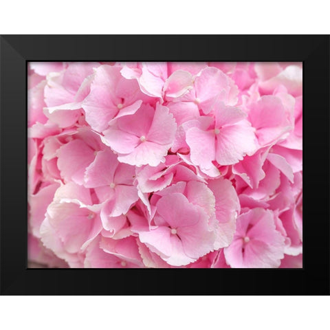 Hydrangea flower bouquet Black Modern Wood Framed Art Print by Frank, Assaf