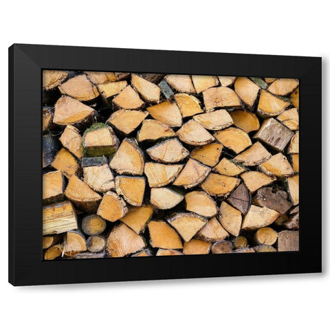 Wood logs Black Modern Wood Framed Art Print with Double Matting by Frank, Assaf