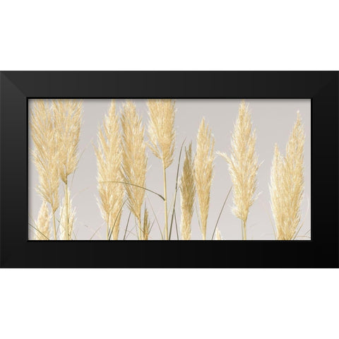 Feather Reeds Black Modern Wood Framed Art Print by Frank, Assaf