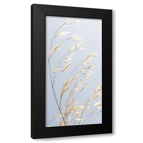 Panicle ripe Oats Black Modern Wood Framed Art Print with Double Matting by Frank, Assaf