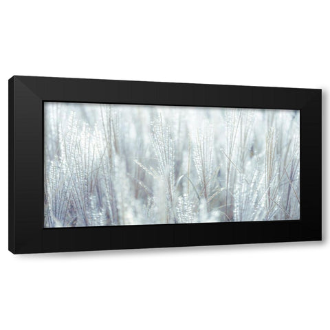 Japanese Silver Grass Black Modern Wood Framed Art Print by Frank, Assaf