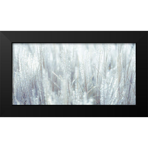 Japanese Silver Grass Black Modern Wood Framed Art Print by Frank, Assaf