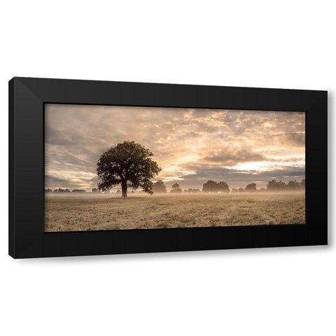 Tree in a filed at sunrise Black Modern Wood Framed Art Print by Frank, Assaf