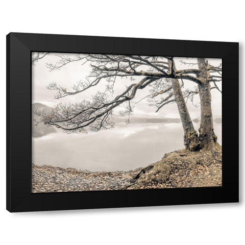 Tree by the Lake Black Modern Wood Framed Art Print with Double Matting by Frank, Assaf