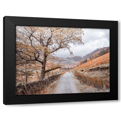 Countryside dirt road Black Modern Wood Framed Art Print by Frank, Assaf