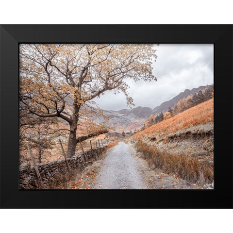 Countryside dirt road Black Modern Wood Framed Art Print by Frank, Assaf