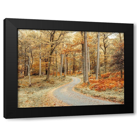 Road through forest Black Modern Wood Framed Art Print by Frank, Assaf