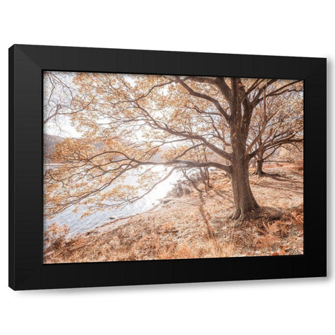 Derwentwater-Lake district Black Modern Wood Framed Art Print with Double Matting by Frank, Assaf