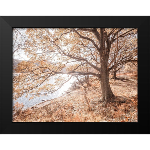 Derwentwater-Lake district Black Modern Wood Framed Art Print by Frank, Assaf