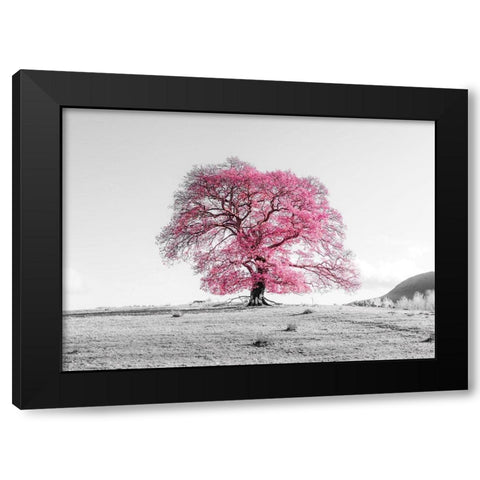 Tree on a hill Black Modern Wood Framed Art Print by Frank, Assaf