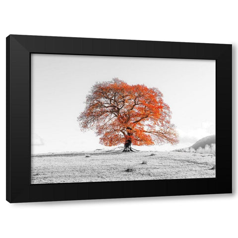Tree on a hill Black Modern Wood Framed Art Print with Double Matting by Frank, Assaf