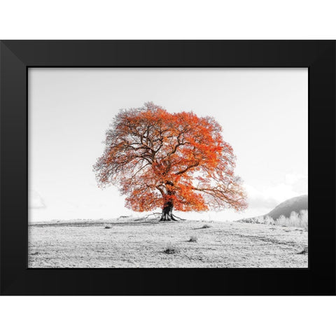Tree on a hill Black Modern Wood Framed Art Print by Frank, Assaf