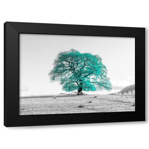 Tree on a hill Black Modern Wood Framed Art Print by Frank, Assaf