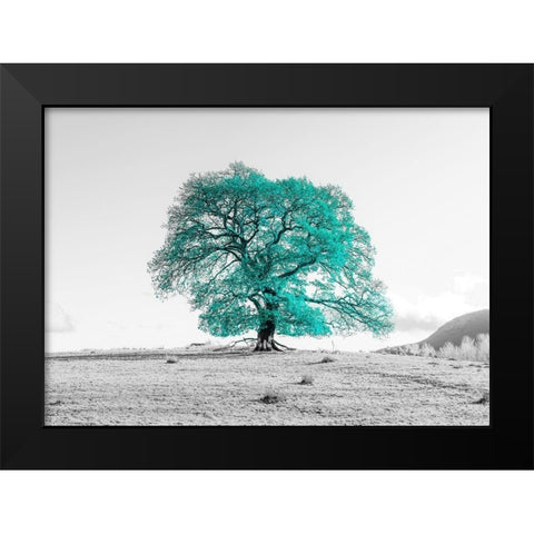 Tree on a hill Black Modern Wood Framed Art Print by Frank, Assaf