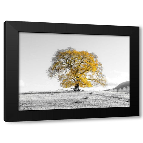 Tree on a hill Black Modern Wood Framed Art Print by Frank, Assaf