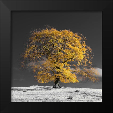 Tree on a hill-yellow-gold Black Modern Wood Framed Art Print by Frank, Assaf