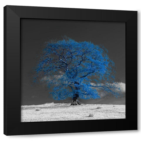 Tree on a hill-blue Black Modern Wood Framed Art Print by Frank, Assaf
