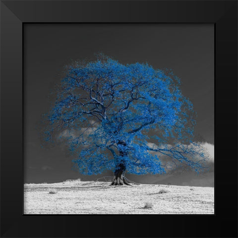 Tree on a hill-blue Black Modern Wood Framed Art Print by Frank, Assaf