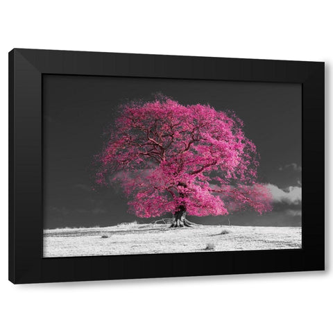 Tree on a hill-pink Black Modern Wood Framed Art Print by Frank, Assaf