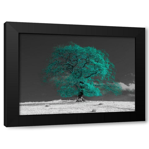 Tree on a hill-teal Black Modern Wood Framed Art Print by Frank, Assaf