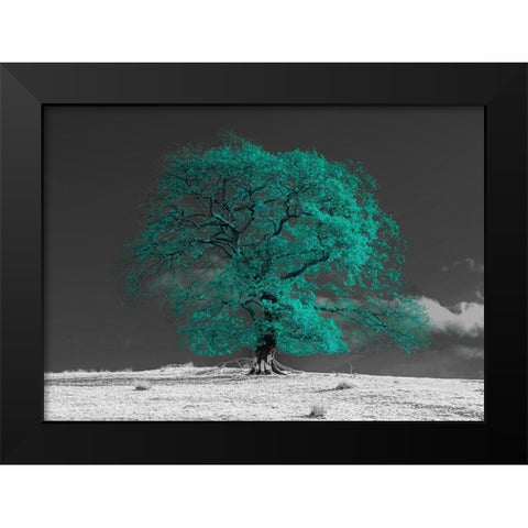 Tree on a hill-teal Black Modern Wood Framed Art Print by Frank, Assaf