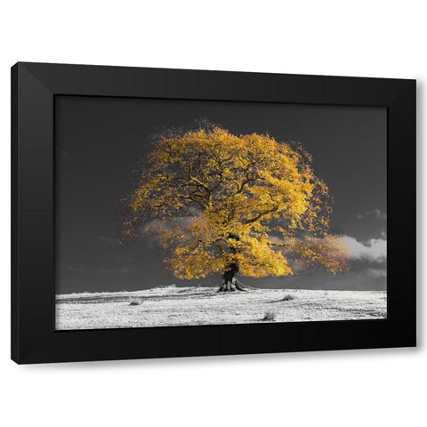 Tree on a hill-yellow-gold Black Modern Wood Framed Art Print by Frank, Assaf