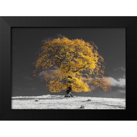 Tree on a hill-yellow-gold Black Modern Wood Framed Art Print by Frank, Assaf