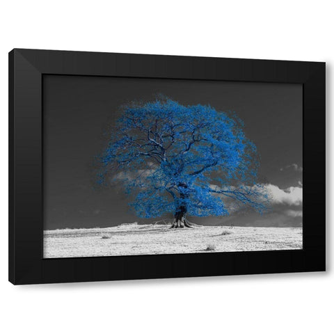 Tree on a hill-blue Black Modern Wood Framed Art Print by Frank, Assaf