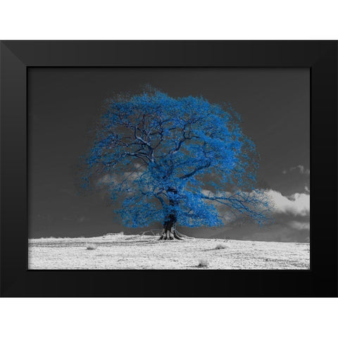 Tree on a hill-blue Black Modern Wood Framed Art Print by Frank, Assaf