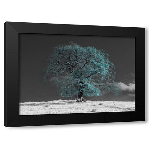 Tree on a hill-teal Black Modern Wood Framed Art Print with Double Matting by Frank, Assaf