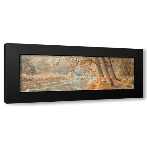 Canal through a forest Black Modern Wood Framed Art Print with Double Matting by Frank, Assaf