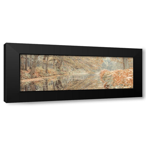 Canal through a forest Black Modern Wood Framed Art Print with Double Matting by Frank, Assaf