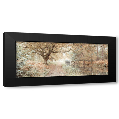 Canal through a forest Black Modern Wood Framed Art Print with Double Matting by Frank, Assaf