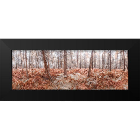 Autumn forest Black Modern Wood Framed Art Print by Frank, Assaf