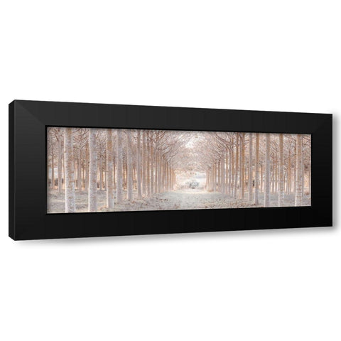 Winter forest Black Modern Wood Framed Art Print by Frank, Assaf