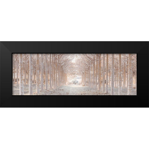 Winter forest Black Modern Wood Framed Art Print by Frank, Assaf