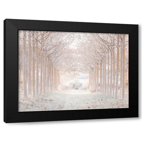 Winter forest Black Modern Wood Framed Art Print with Double Matting by Frank, Assaf