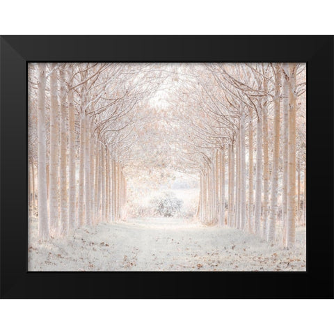 Winter forest Black Modern Wood Framed Art Print by Frank, Assaf