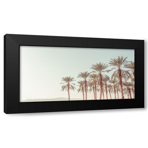 Palm Trees Black Modern Wood Framed Art Print by Frank, Assaf