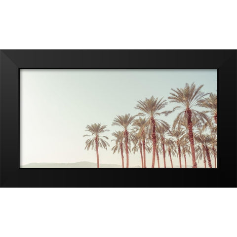 Palm Trees Black Modern Wood Framed Art Print by Frank, Assaf
