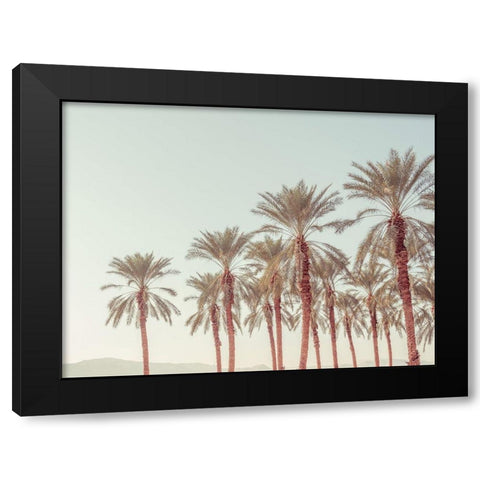 Palm Trees Black Modern Wood Framed Art Print by Frank, Assaf