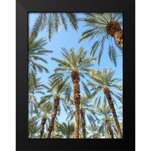 Palm Trees Black Modern Wood Framed Art Print by Frank, Assaf