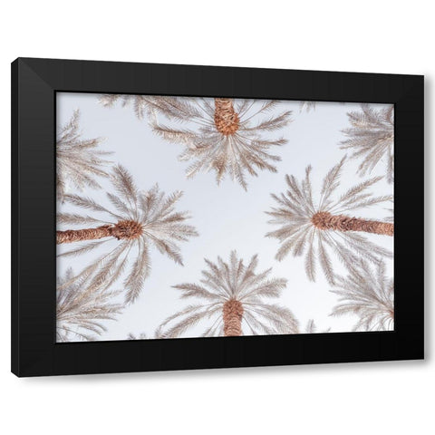 Palm Trees Black Modern Wood Framed Art Print by Frank, Assaf