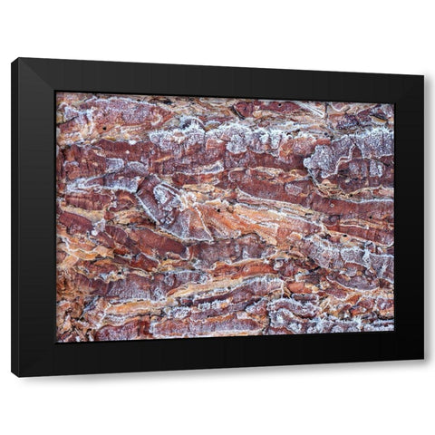 Frost on wood bark Black Modern Wood Framed Art Print by Frank, Assaf