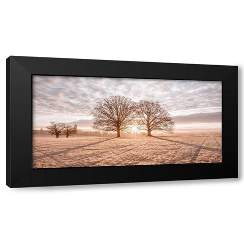 Trees in meadow Black Modern Wood Framed Art Print by Frank, Assaf